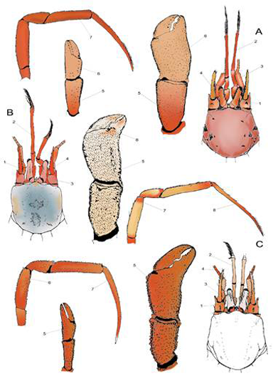 medium/medium-SCIMAR-87-01-e058-gf13.png