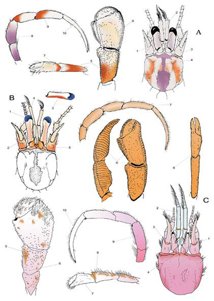 medium/medium-SCIMAR-87-01-e058-gf14.png