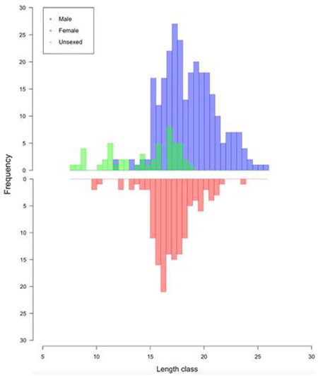 medium/medium-SCIMAR-87-02-e064-gf10.png