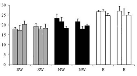 medium/medium-SCIMAR-87-02-e065-gf4.png