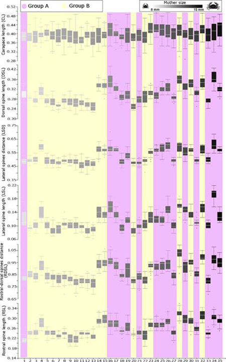 medium/medium-SCIMAR-87-02-e066-gf2.png