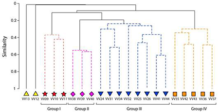 medium/medium-SCIMAR-87-02-e067-gf4.png