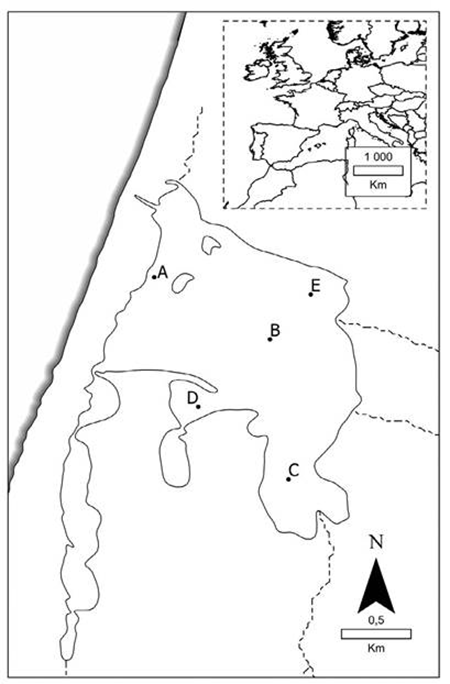 medium/medium-SCIMAR-87-02-e068-gf1.png