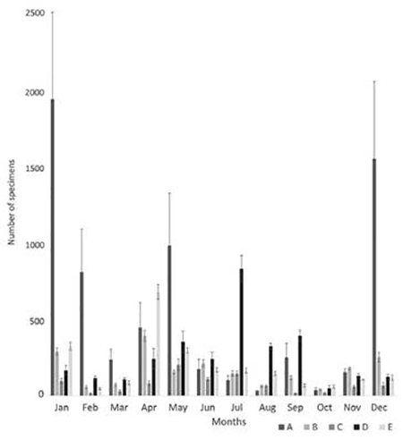 medium/medium-SCIMAR-87-02-e068-gf2.png
