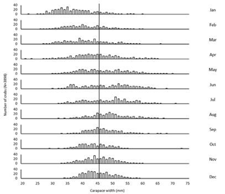 medium/medium-SCIMAR-87-02-e068-gf3.png