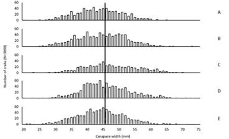 medium/medium-SCIMAR-87-02-e068-gf4.png
