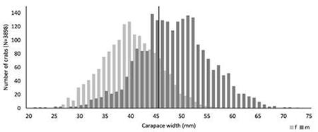 medium/medium-SCIMAR-87-02-e068-gf5.png