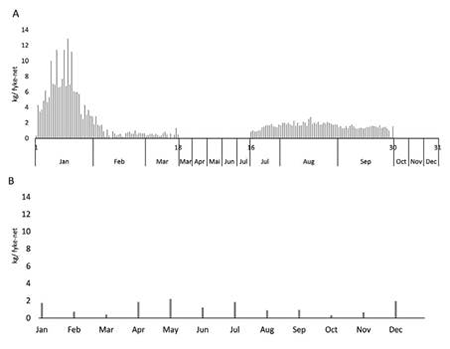 medium/medium-SCIMAR-87-02-e068-gf8.png