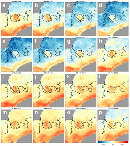 medium/medium-SCIMAR-87-03-e070-gf5.png