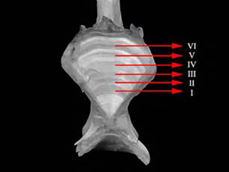 medium/medium-SCIMAR-87-04-e075-gf3.png