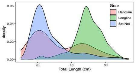 medium/medium-SCIMAR-87-04-e075-gf4.png