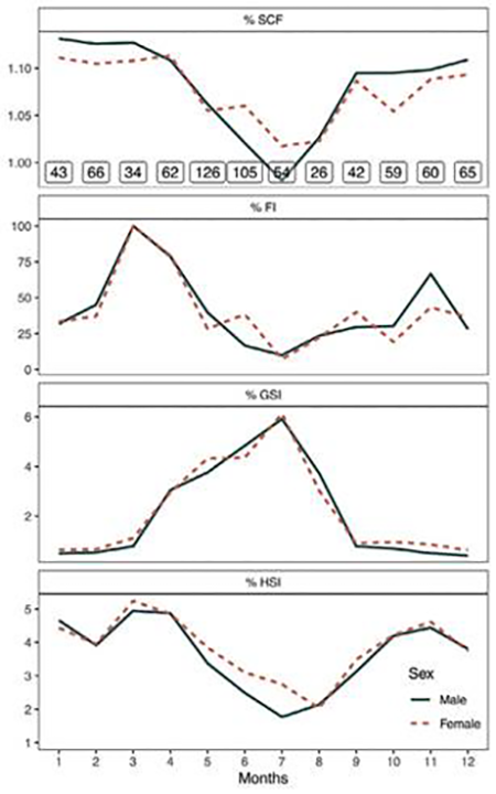 medium/medium-SCIMAR-87-04-e075-gf6.png