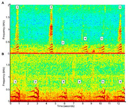 medium/medium-SCIMAR-87-04-e078-gf1.png
