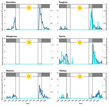 medium/medium-SCIMAR-87-04-e078-gf5.png
