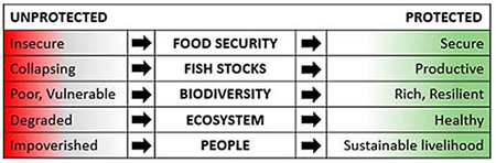 medium/medium-SCIMAR-88-01-e080-gf4.png