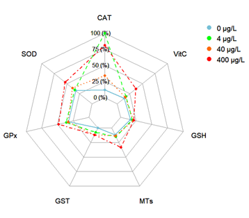 The star plots of biomarker responses (CAT, SOD, GPx, GST, MTs, GSH and AA) for the clam R. decussatus exposed to different concentrations of Topas (4, 40 and 400 µg L-1) for 96 hours.
