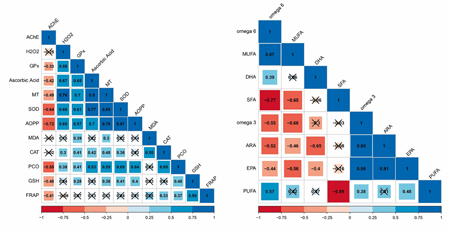 Correlation matrix for redox state biomarkers and fatty acid profiles. Each cell indicates Pearson correlation coefficient value, r, for a pair of biomarkers. Positive correlations (0<r<1.0) are displayed in blue and negative correlations (–1<r<0) in red. Colour intensity is proportional to the correlation coefficients.