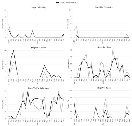 Monthly frequency of Phorcus lineatus males and females at each gonad maturity stage during the two-year study period on the Algarve coast, southern Portugal.
