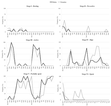 Monthly frequency of Phorcus sauciatus males and females at each gonad maturity stage during the 2-year study period on the Algarve coast, southern Portugal.