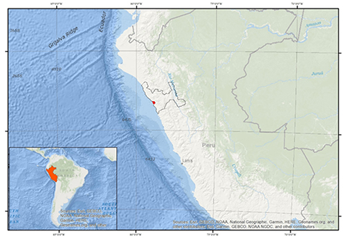 Mapa que muestra la ubicación de un punto marcado en la costa oeste de Sudamérica, específicamente en Perú, con un recuadro que destaca la región en un mapa más amplio del continente.

Descripción generada con IA