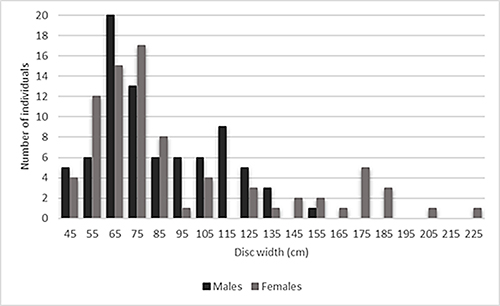 El gráfico de barras compara la distribución del ancho de disco en centímetros entre dos grupos con diferentes cantidades de individuos en cada rango.

Descripción generada con IA