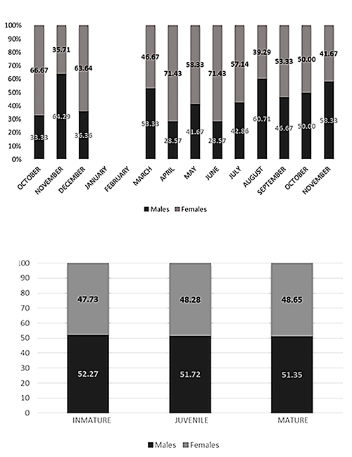 Gráficos de barras que muestran la distribución porcentual de personas por sexo en diferentes meses y etapas de desarrollo clasificadas como inmaduras, juveniles y maduras.

Descripción generada con IA
