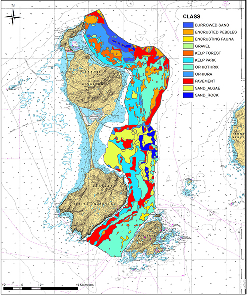 Mapa detallado de una isla con diferentes zonas costeras y marinas clasificadas por tipos de sedimentos y vegetación marina representadas en colores variados.

Descripción generada con IA