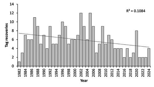 Gráfico de barras que muestra una tendencia general a la baja en el número de recuperaciones de etiquetas a lo largo de los años desde 1982 hasta 2024.

Descripción generada con IA