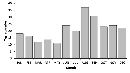 El gráfico de barras muestra la recuperación de etiquetas por mes con un aumento notable en agosto y una disminución en los meses de primavera.

Descripción generada con IA