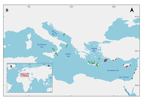 Mapa que muestra la distribución de puntos marcados en diferentes colores en el mar Mediterráneo y áreas circundantes, con un recuadro que indica la ubicación general en un mapa mundial.

Descripción generada con IA